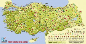 Türkiye Tarım Ürünleri Haritası