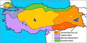 Türkiyenin İklim Haritası
